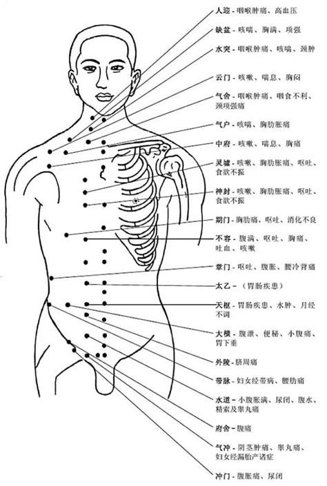 二十大名穴|女性人体穴位图解大全